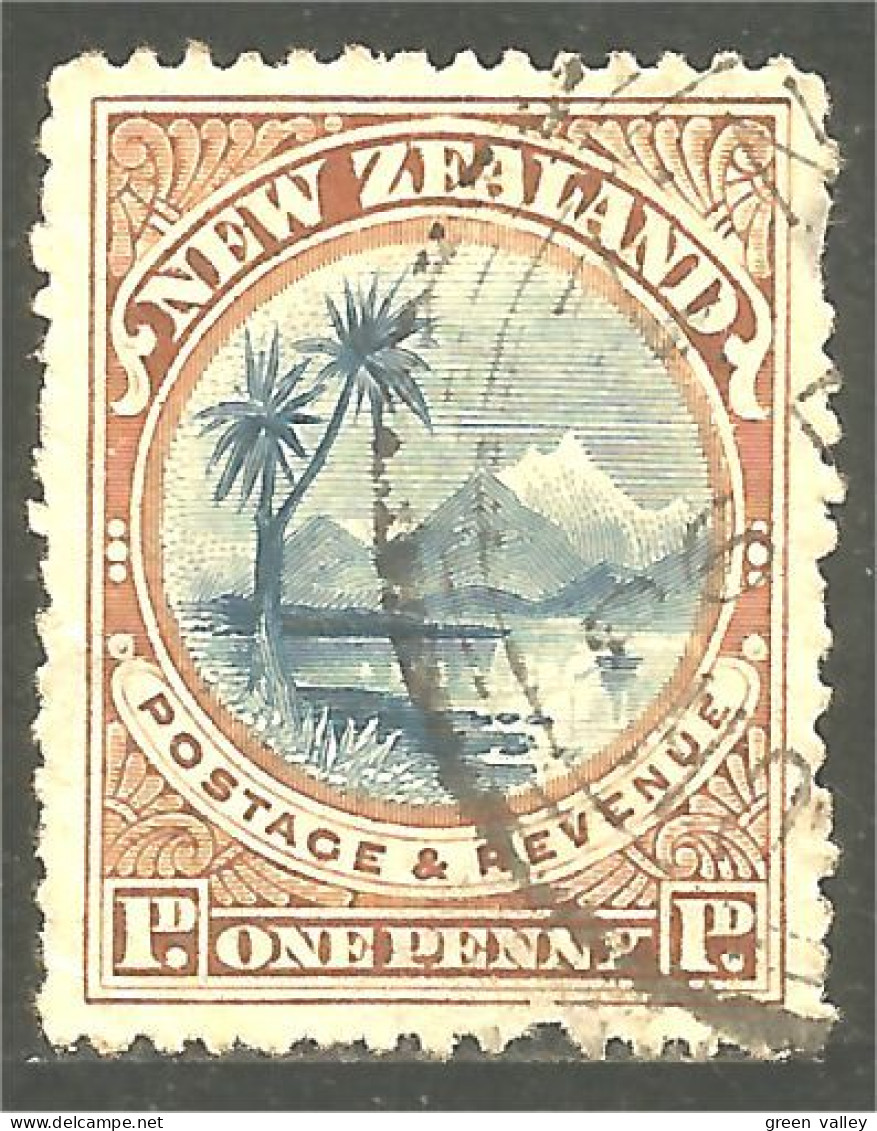 XW01-0986 New Zealand 1898 Lake Taupo Palm Tree Cocotier - Bäume