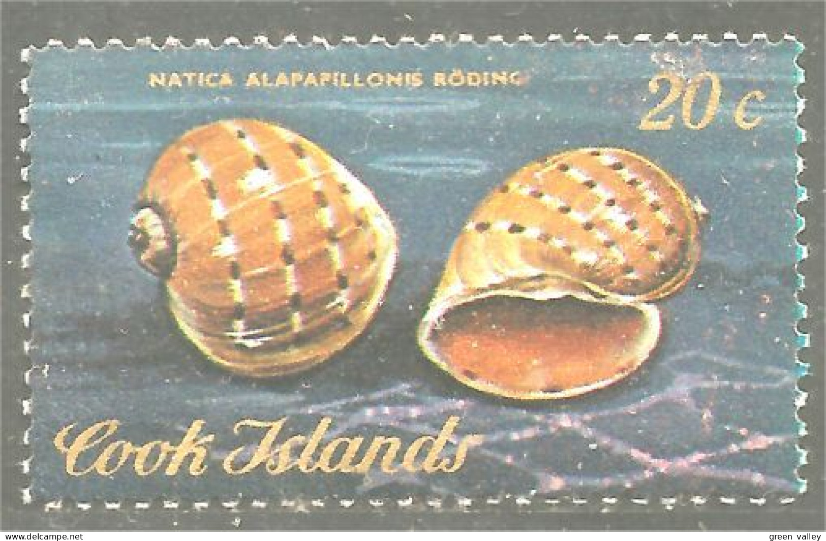 XW01-0948 Cook Islands Coquillage Shellfish Mariscos Schaltier Crostacei - Conchas