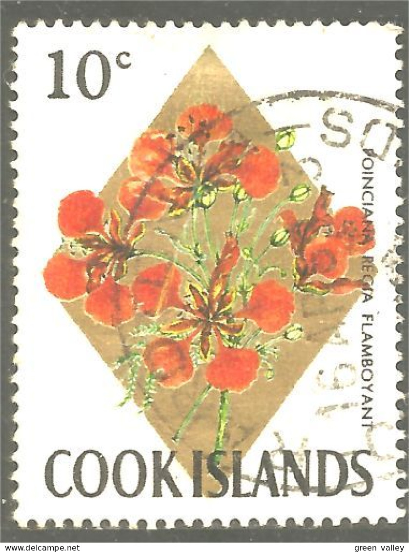 XW01-0945 Cook Islands Fleur Flower Blume Arbre Tree Baum Flamboyant - Bäume