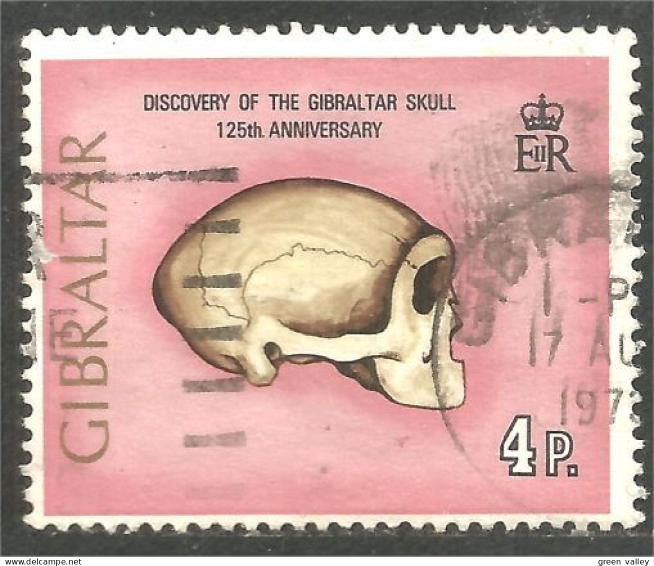 XW01-0901 Gibraltar Skull Crâne Squelette Archéologie Archeology Skeleton - Archeologia