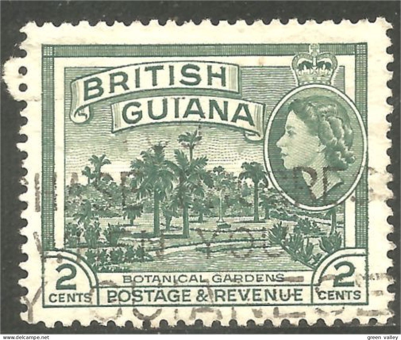 XW01-0871 British Guiana 1954 2c Botanical Gardens Jardin Botanique - Guyane Britannique (...-1966)