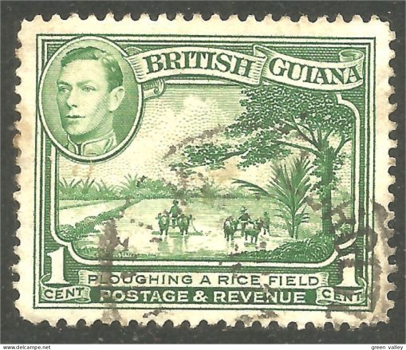 XW01-0857 British Guiana 1938 1c Rizière Rice Field - Guyane Britannique (...-1966)