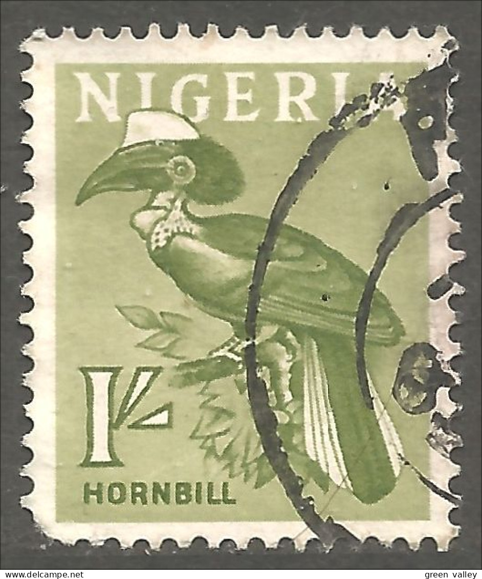 XW01-0760 Nigeria Yellow-casqued Hornbill Calao Oiseau Bird Vogel Uccello  - Otros & Sin Clasificación