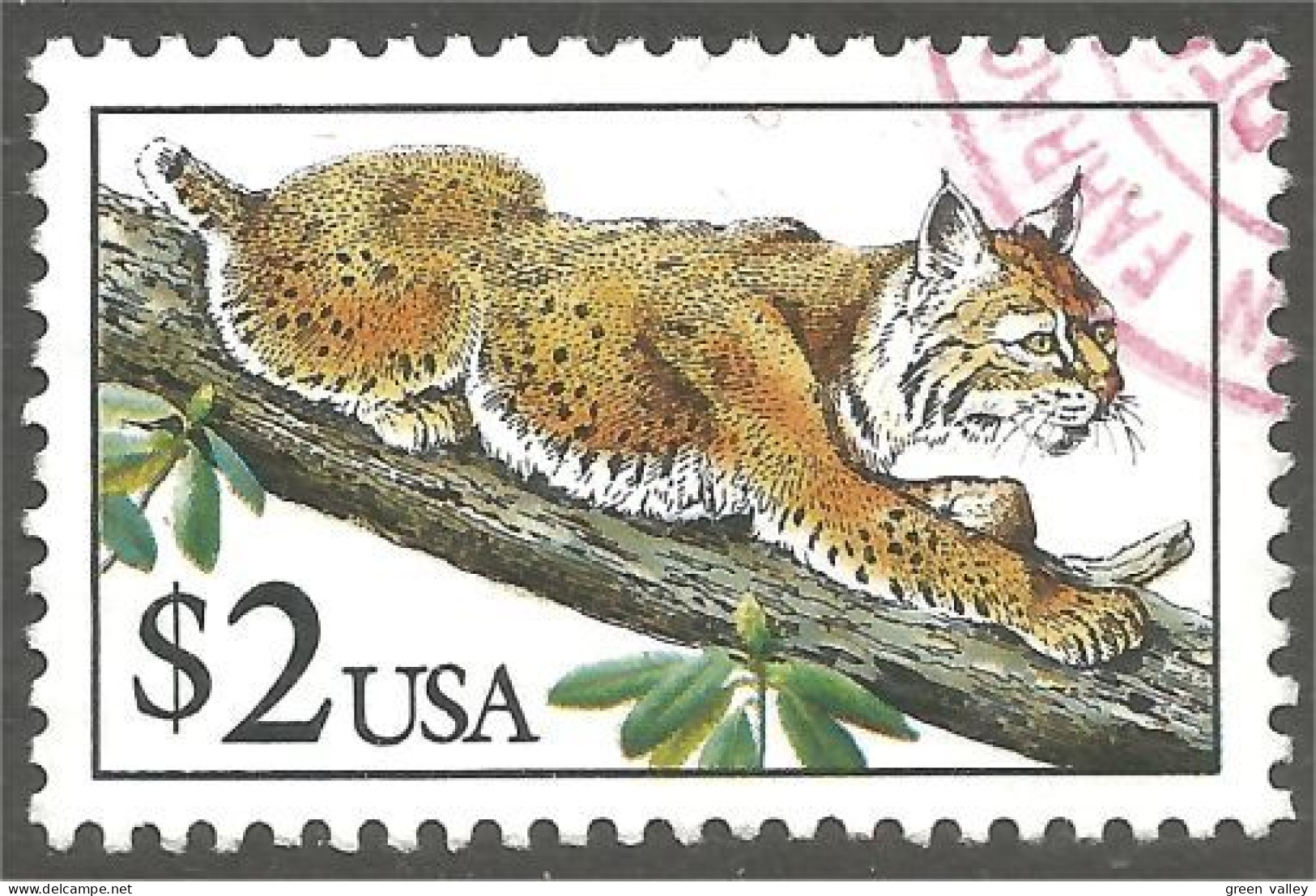 XW01-0680 USA 1990 Bobcat Félin Feline Lynx Chat Sauvage Wild Cat - Raubkatzen