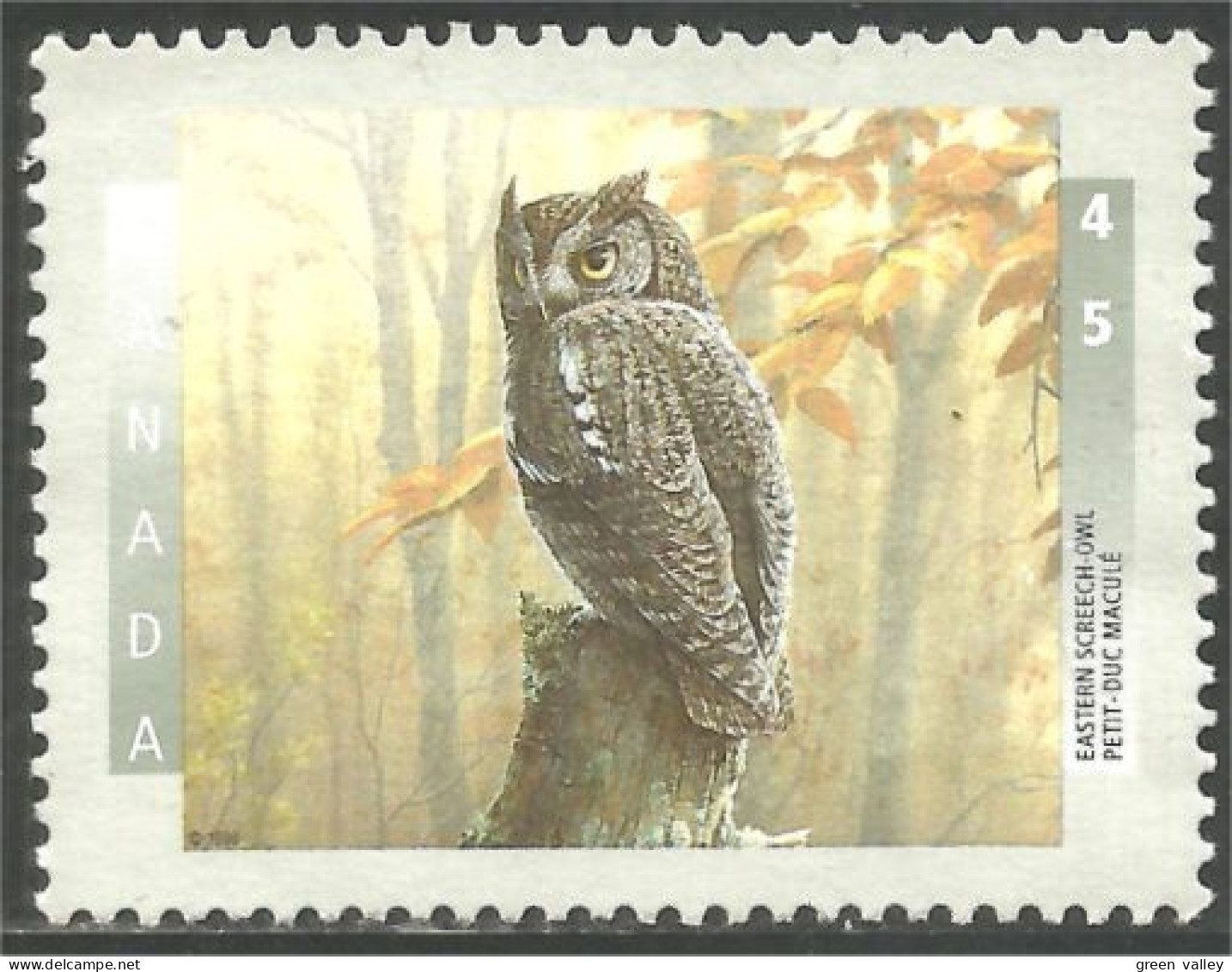 XW01-0581 Canada Hibou Chouette Owl Eule Gufo Uil Buho Mint No Gum - Eulenvögel