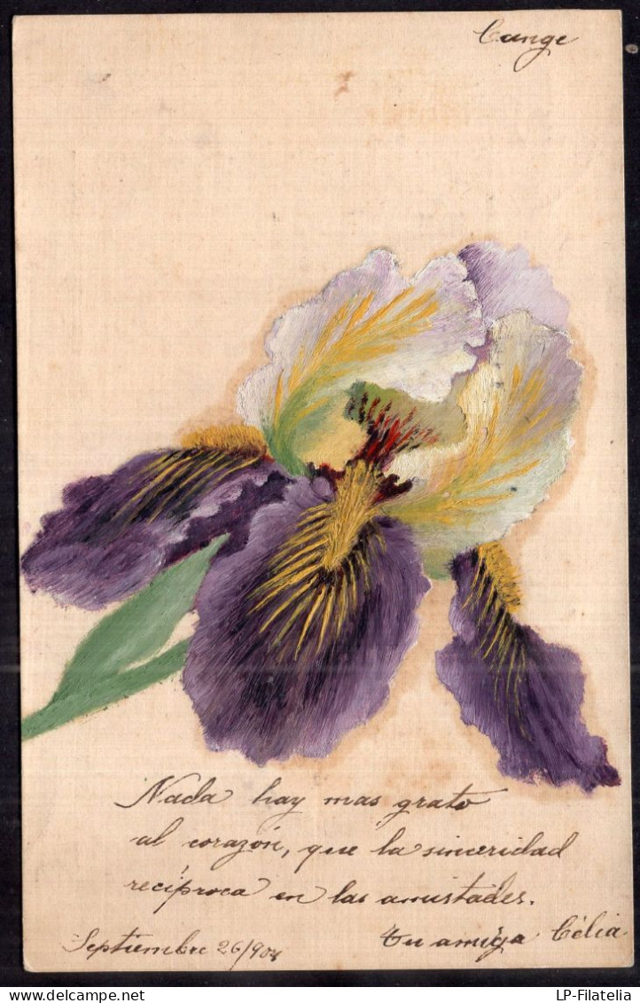 Argentina - 1906 - Flowers - Violet Orchid Painting - Fleurs
