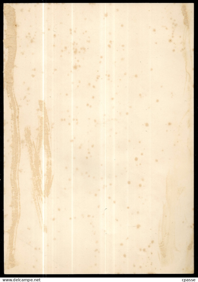 TRES GRANDE CHROMO Litho F.APPEL, XIXe FLEURS Et PAPILLON + 2 Ajouts Découpis De Fleurs Dans Les Cadres Ovales - Autres & Non Classés