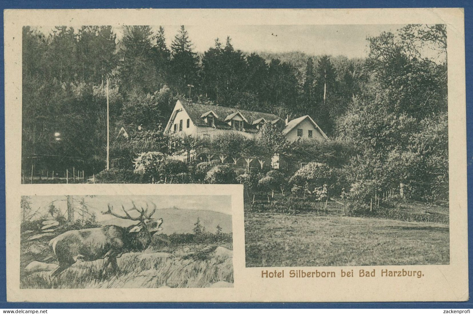 Hotel Silberborn Bei Bad Harzburg, Gelaufen 1922 (AK4580) - Bad Harzburg