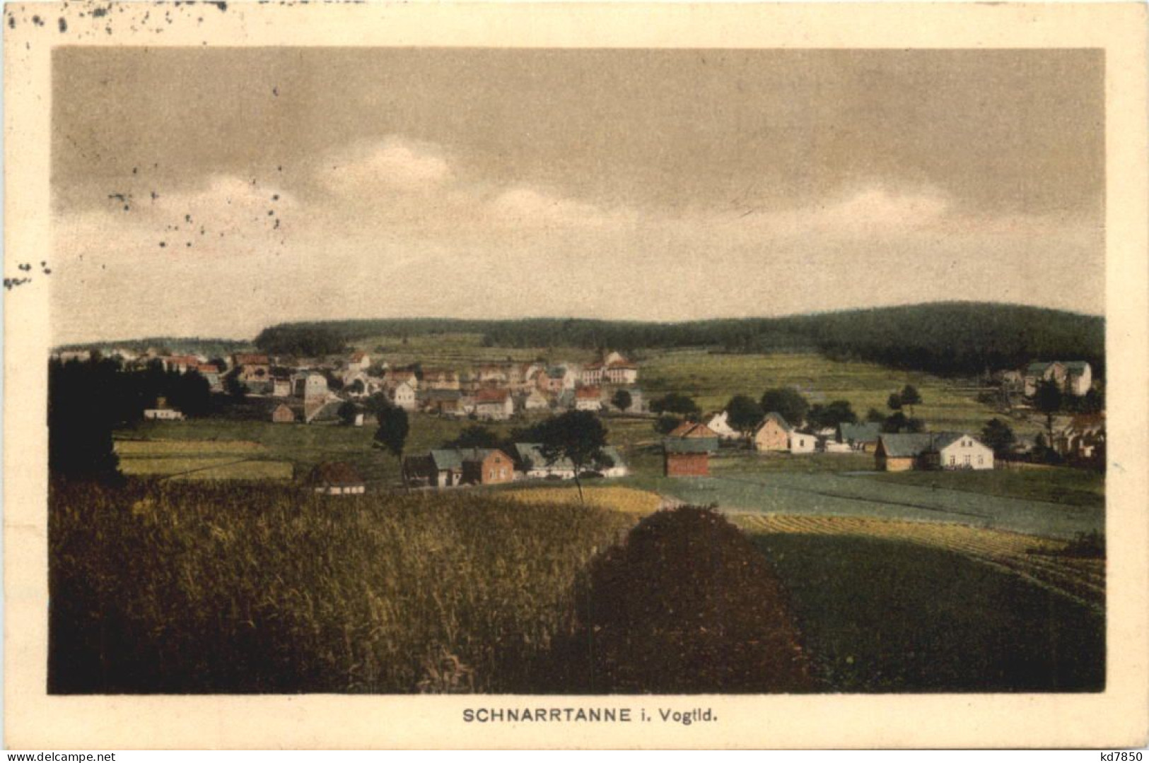 Schnarrtanne Im Vogtland - Auerbach (Vogtland)