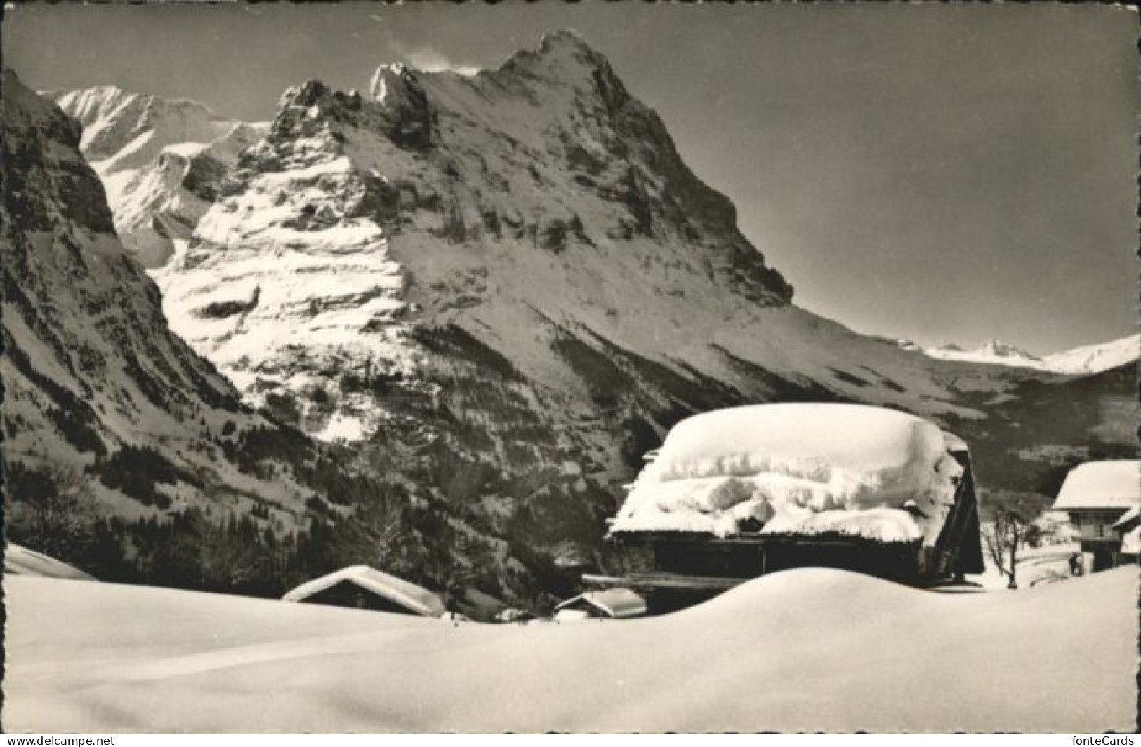10815157 Grindelwald Grindelwald Eiger X Grindelwald - Autres & Non Classés