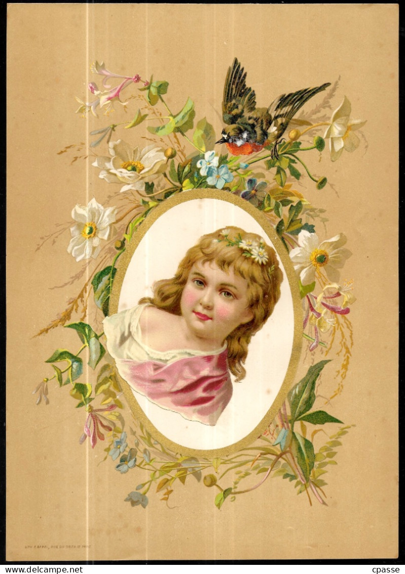 TRES GRANDE CHROMO Litho F.APPEL, XIXe FLEURS Et Oiseau + Ajout, Découpi D'une Tête D'enfant Dans Le Cadre Ovale - Sonstige & Ohne Zuordnung