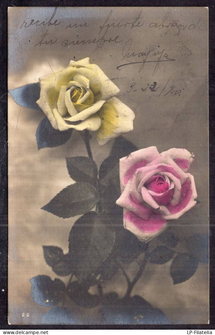 Argentina - 1910 - Flowers - Colorized - Yellow And Pink Roses - Flores