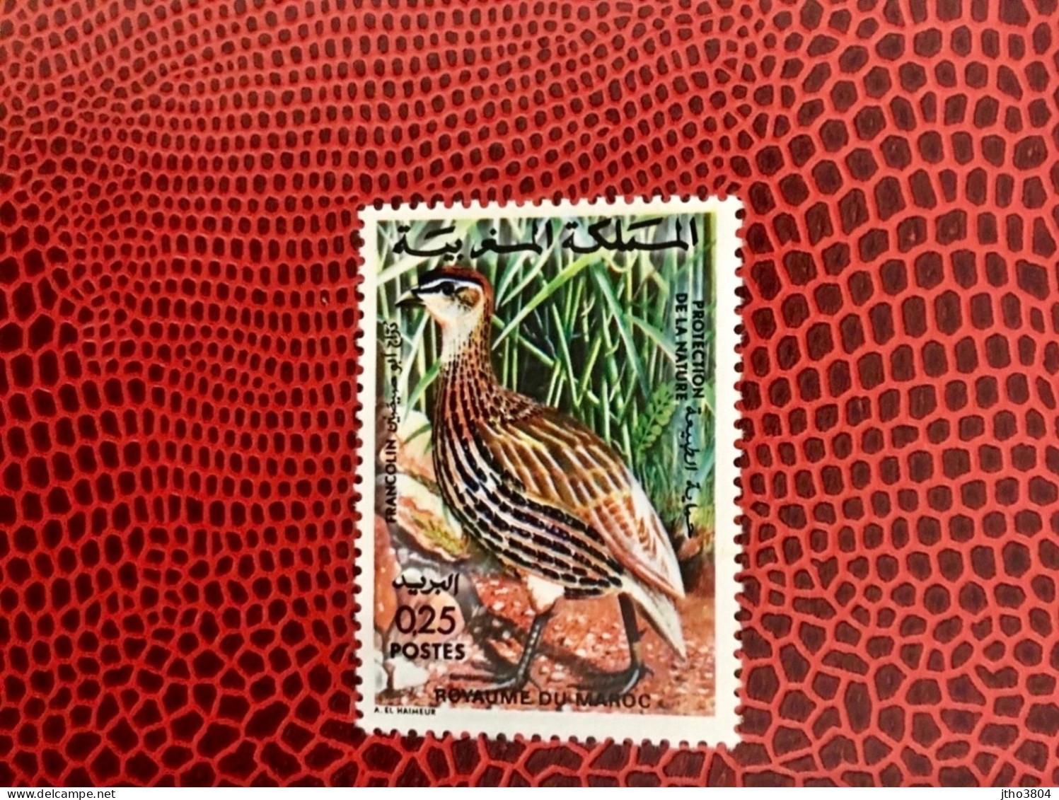 MAROC 1974 1v Neuf MNH ** YT 713 Pájaro Bird Pássaro Vogel Ucello Oiseau MOROKKO MOROCCO - Other & Unclassified