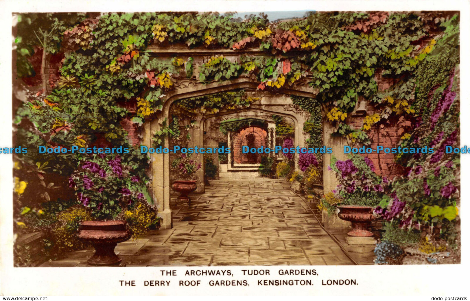 R098709 The Archways. Tudor Gardens. The Derry Roof Gardens. Kensington. London. - Other & Unclassified