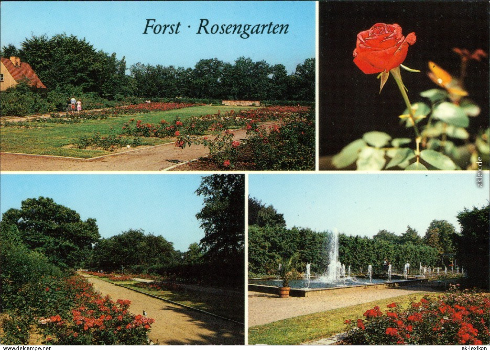 Ansichtskarte Forst (Lausitz) Barš&#263; Rosengarten 1988 - Forst