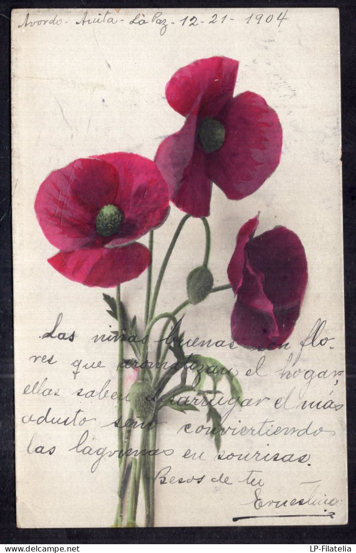 Argentina - 1904 - Flowers - Colorized - Three Poppy Seed - Fleurs