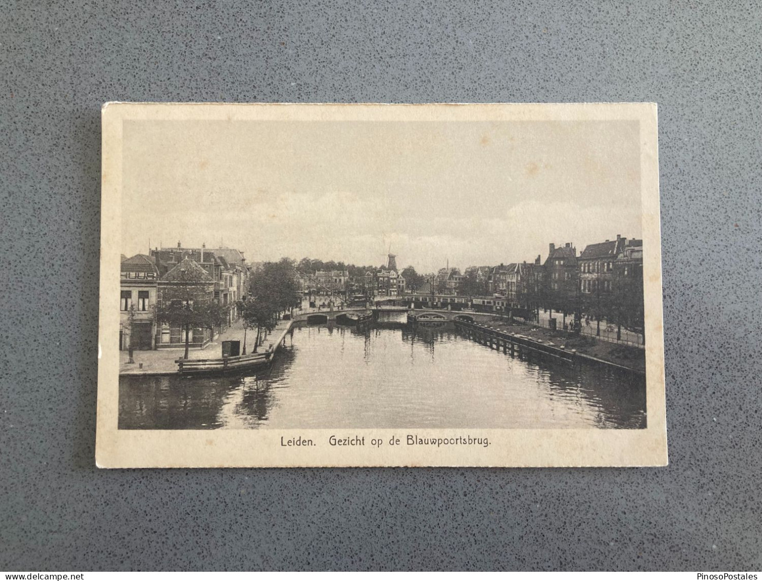 Leiden. Gezicht Op De Blauwpoortsbrug Carte Postale Postcard - Rotterdam