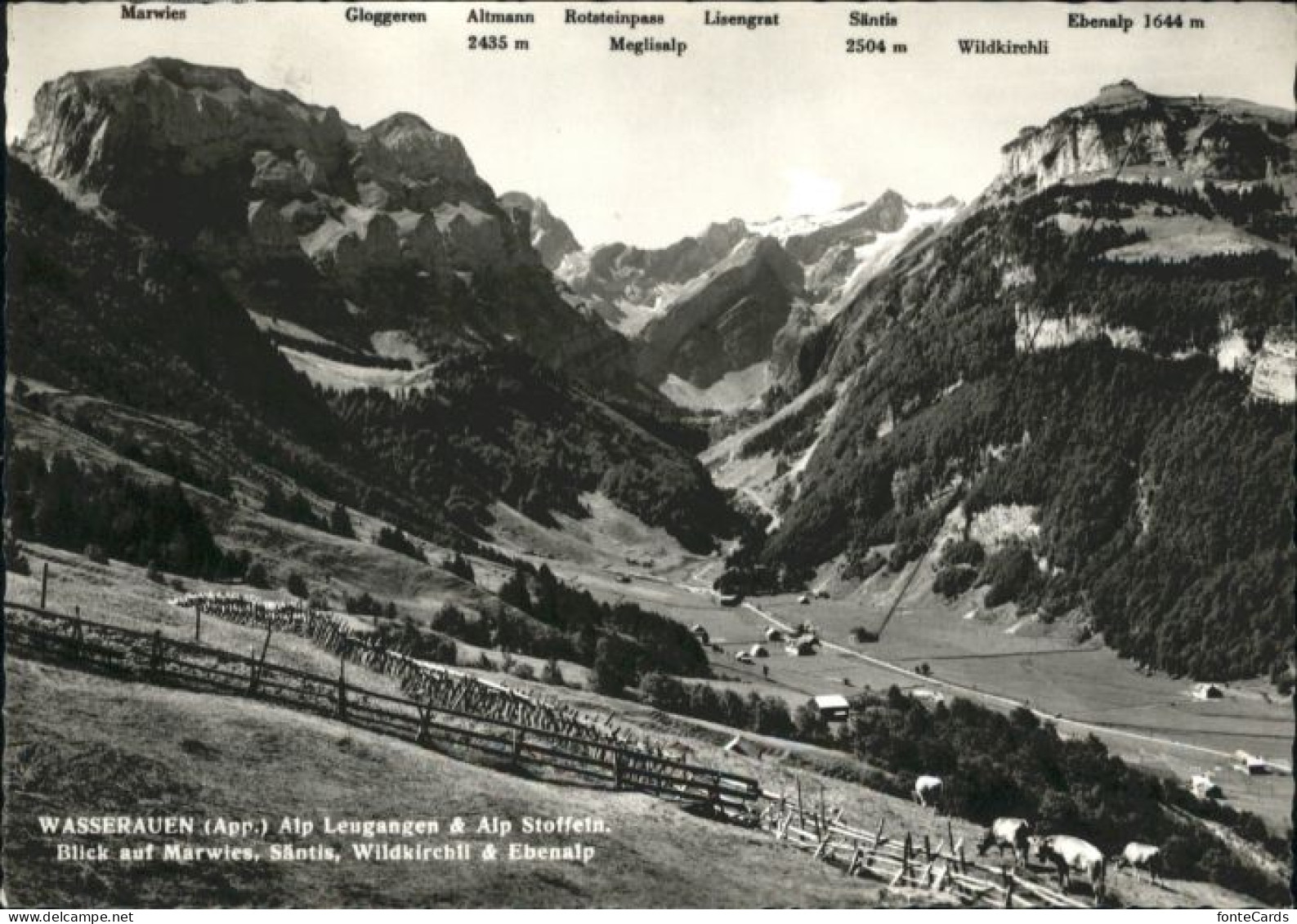 10803575 Saentis AR Saentis Wasserfrauen Alp Leugangen Alp Stoffeln Marwies Kueh - Other & Unclassified