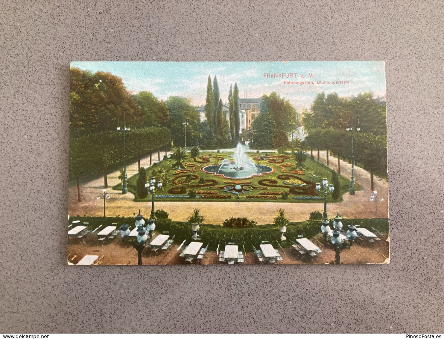 Frankfurt Palmengarten Blumenparterre Carte Postale Postcard - Frankfurt A. Main