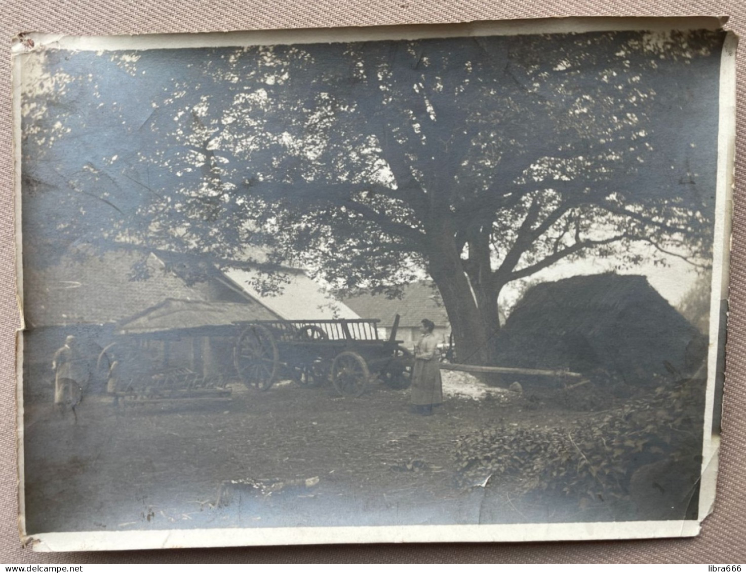 1904 - (2 X) - Originele Foto - Photo Originale - FURFOOZ - Chemin Creux - Cour De Ferme - 17,5 X 13 Cm. - Places