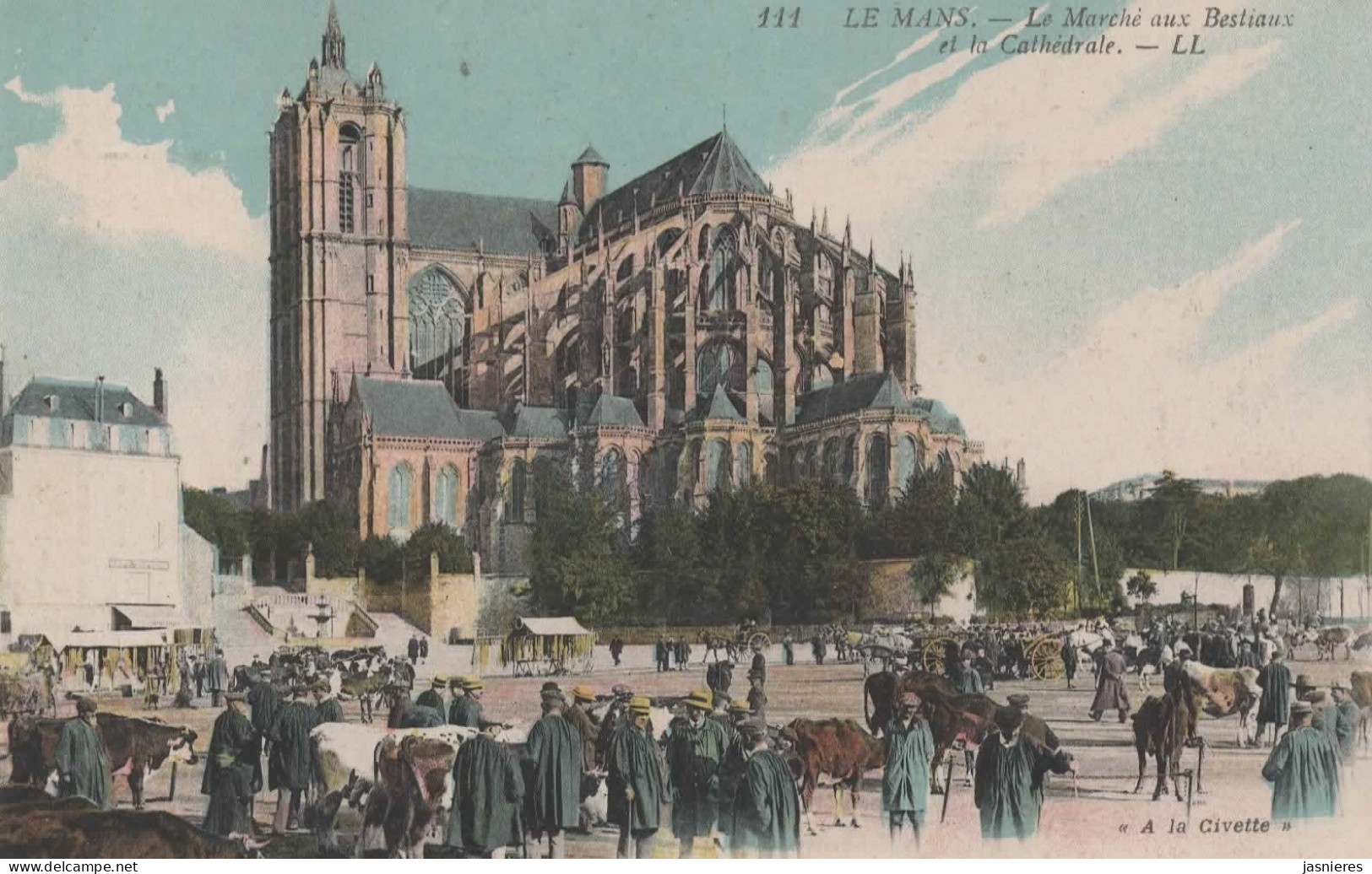 CPA  LE MANS - Place Des Jacobins - Marché Aux Bestiaux - Cathédrale - Colorisée - Le Mans