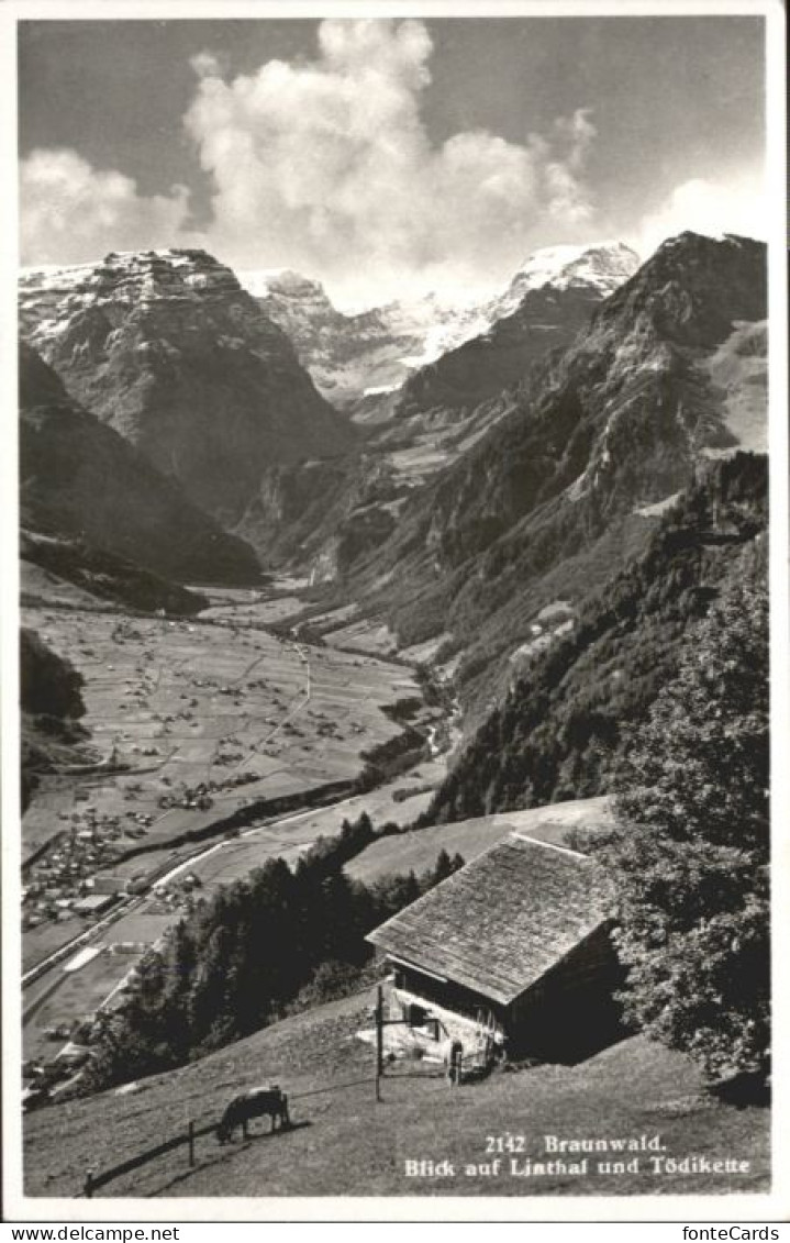 10802984 Braunwald GL Braunwald Linthal Toedikette Kuh * Braunwald - Other & Unclassified