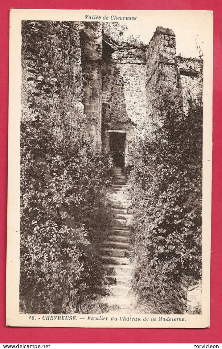 C.P. Chevreuse = Escalier  Du  Château De La Madeleine - Chevreuse