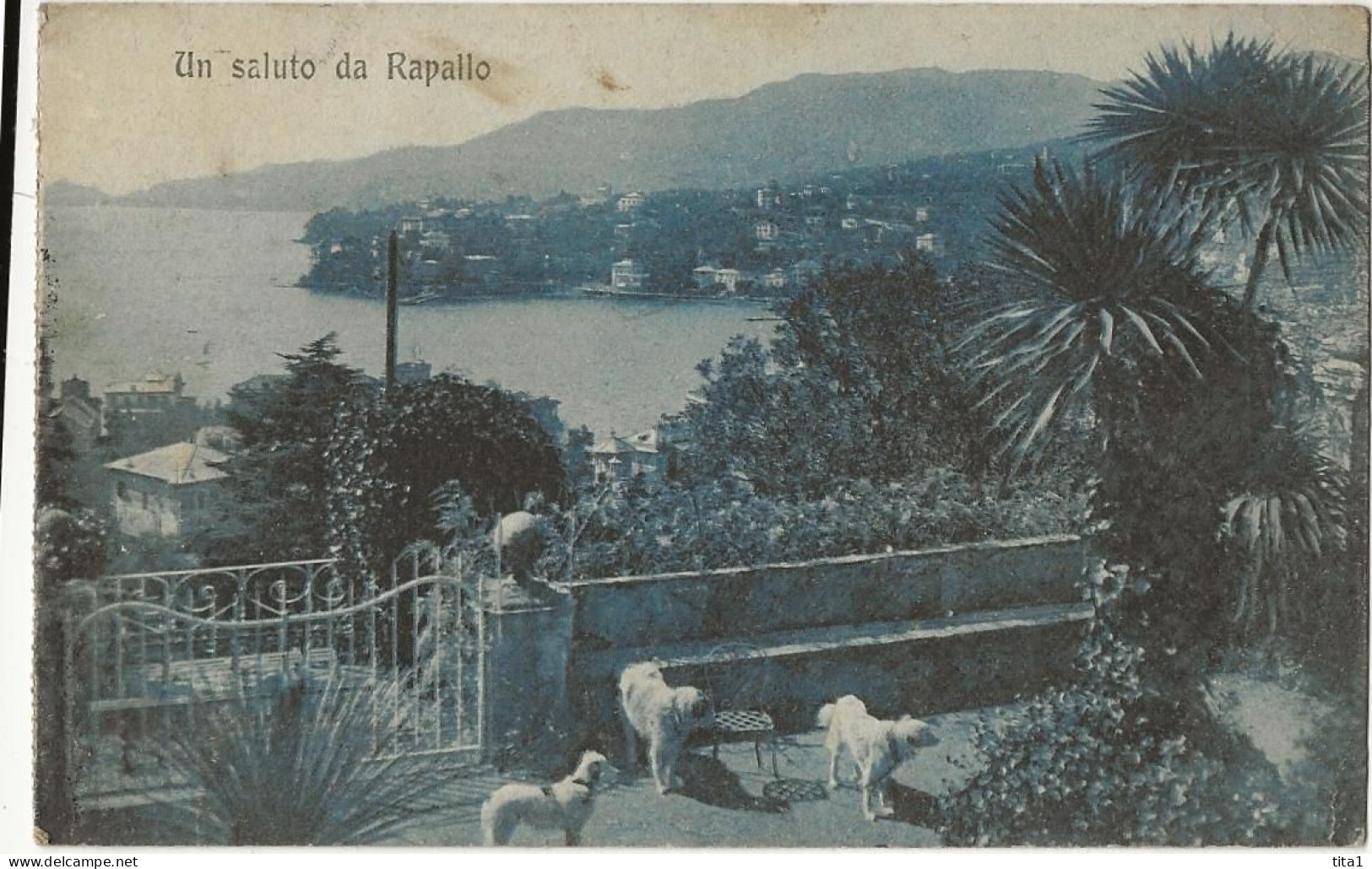 289 -Un Saluto Da Rapallo - Genova (Genoa)