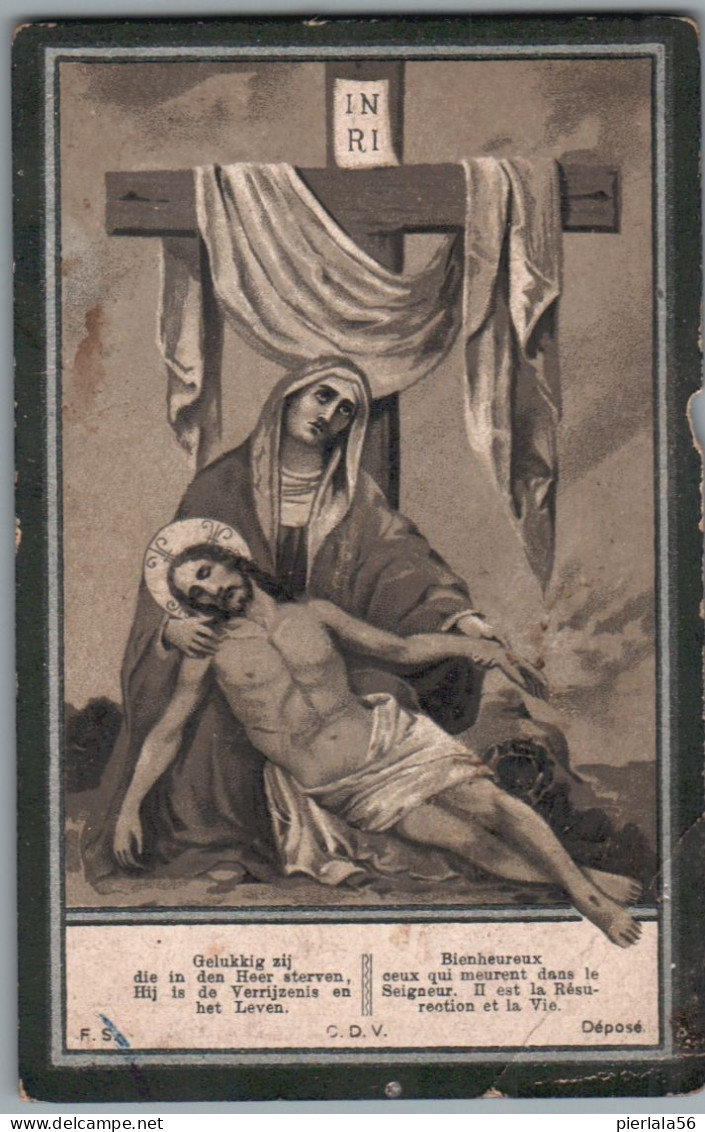 Bidprentje Heppen - Plees Aloysius (1855-1928) Hoekplooi - Images Religieuses