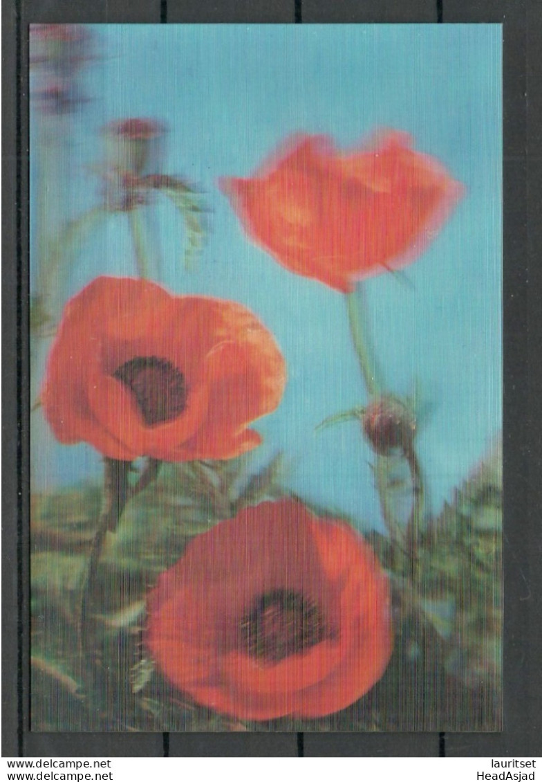 NORTH KOREA  - Poppy Flower - Old 3D Postcard, Unused - Cartes Stéréoscopiques