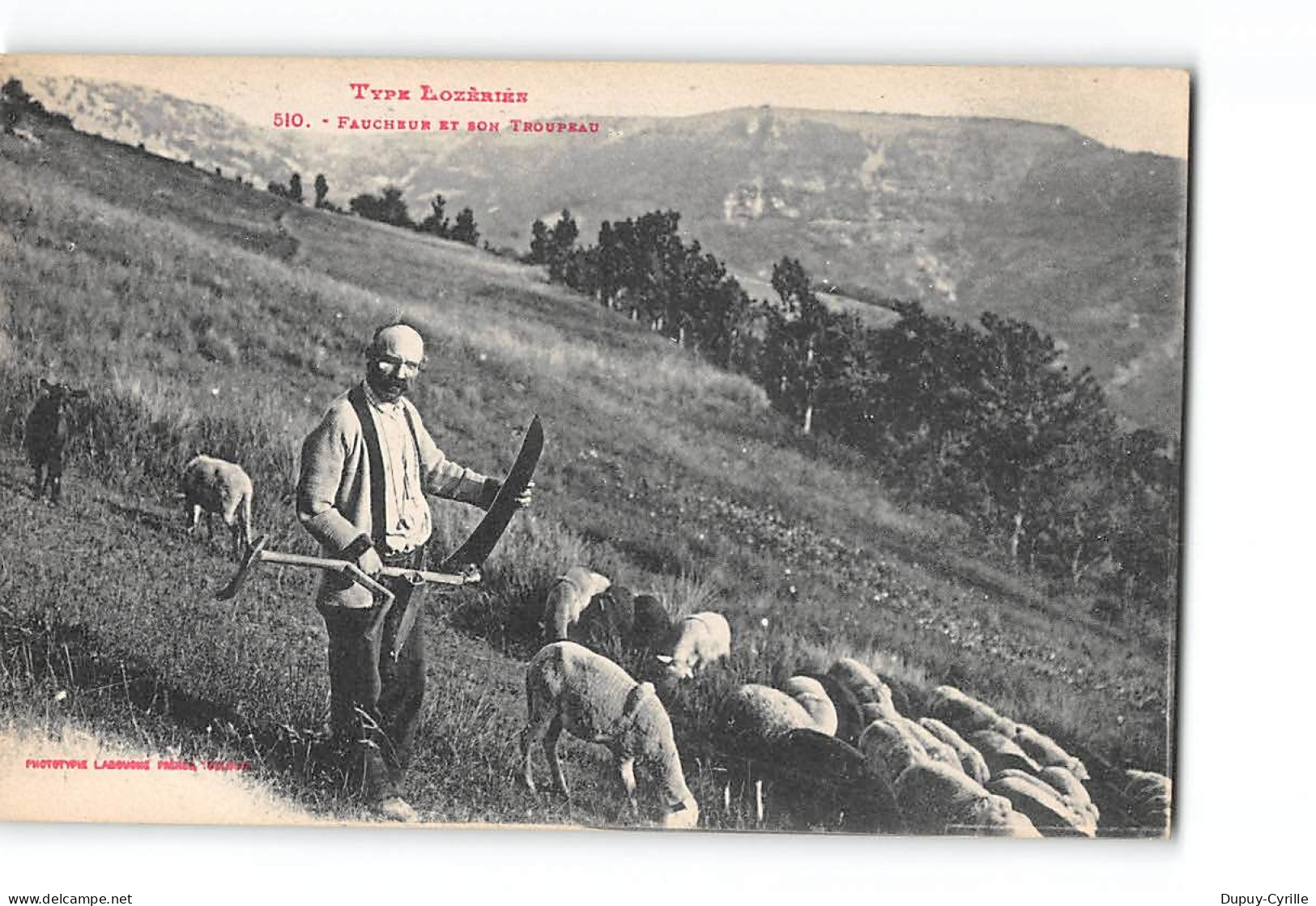 Type Lozérien - Faucheur Et Son Troupeau - Très Bon état - Andere & Zonder Classificatie