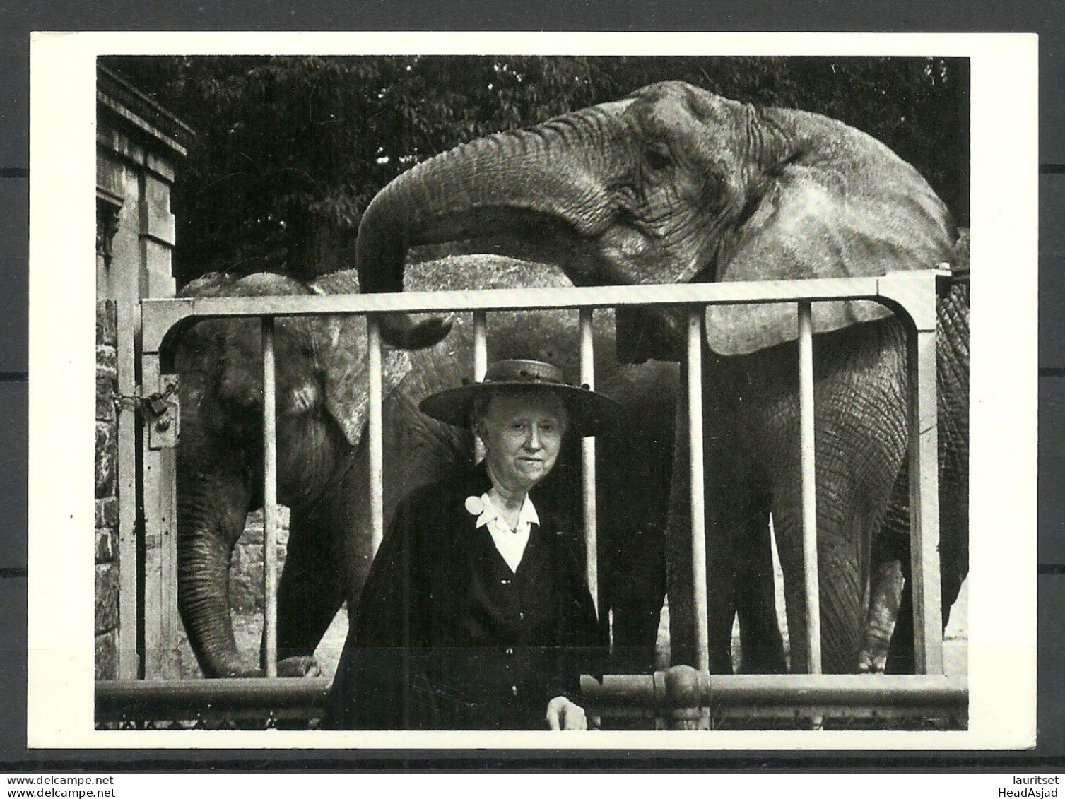 USA 1986 American Poet Critic Translator & Editor Marianne Moore, Bronx, New York (1953), Unused Elephant Elefant - Femmes Célèbres