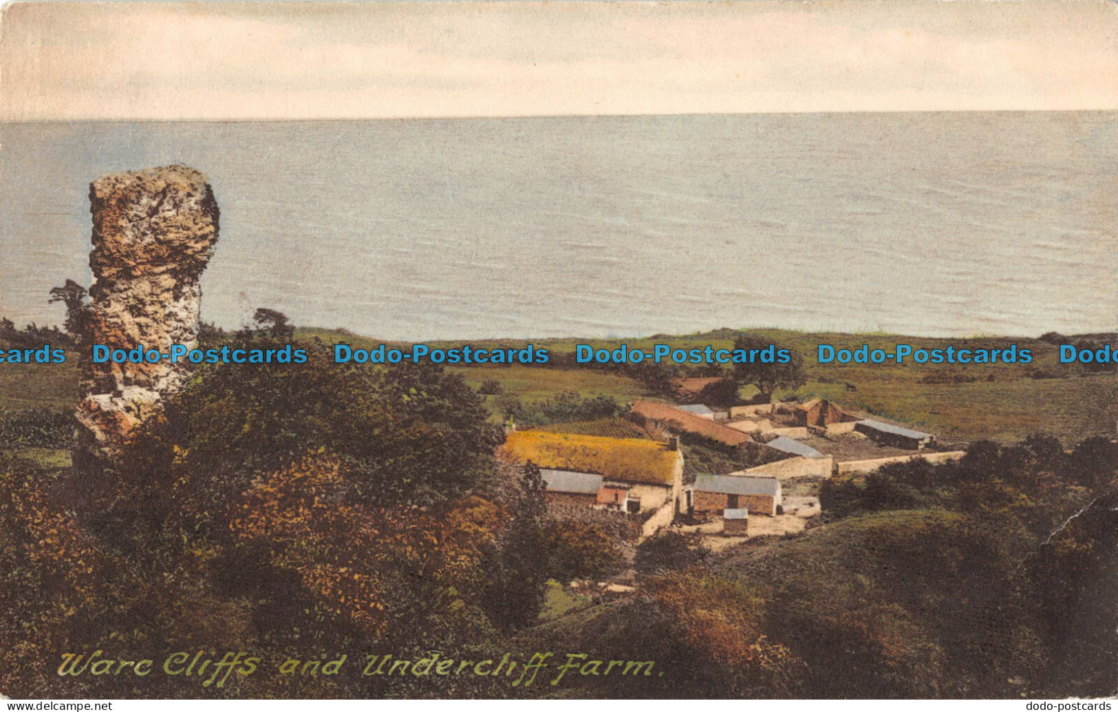 R099996 Ware Cliffs And Undercliff Farm. F. Dunster. No. 45258 - World