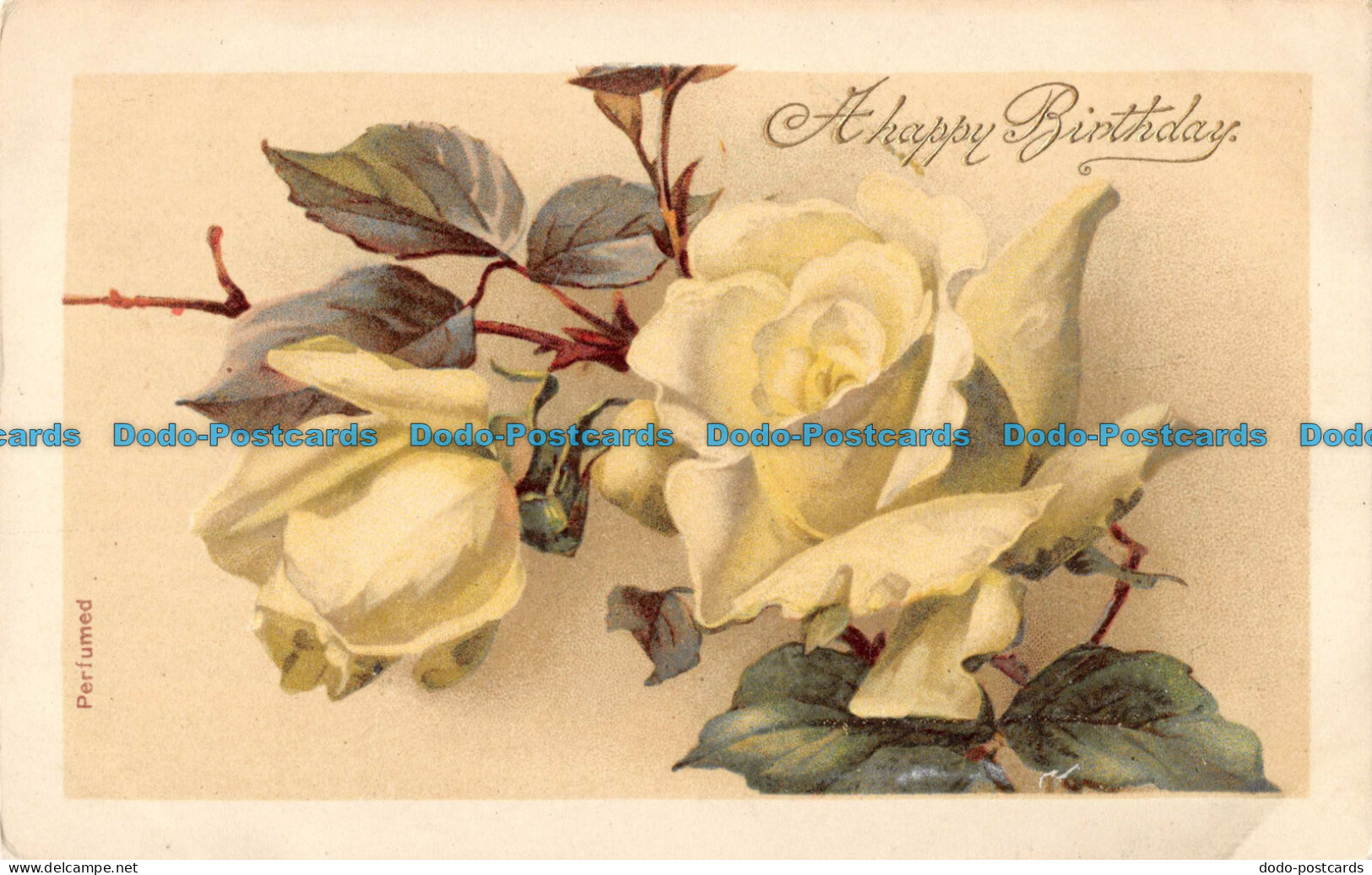R099999 A Happy Birthday. Greeting Card - World