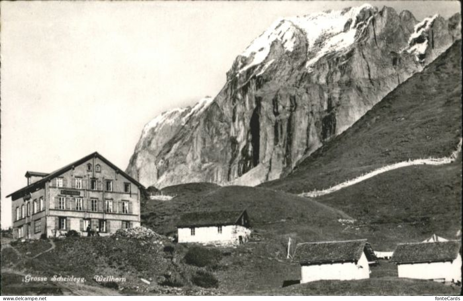 10794822 Grosse Scheidegg Grosse Scheidegg Wellhorn * Grosse Scheidegg - Other & Unclassified