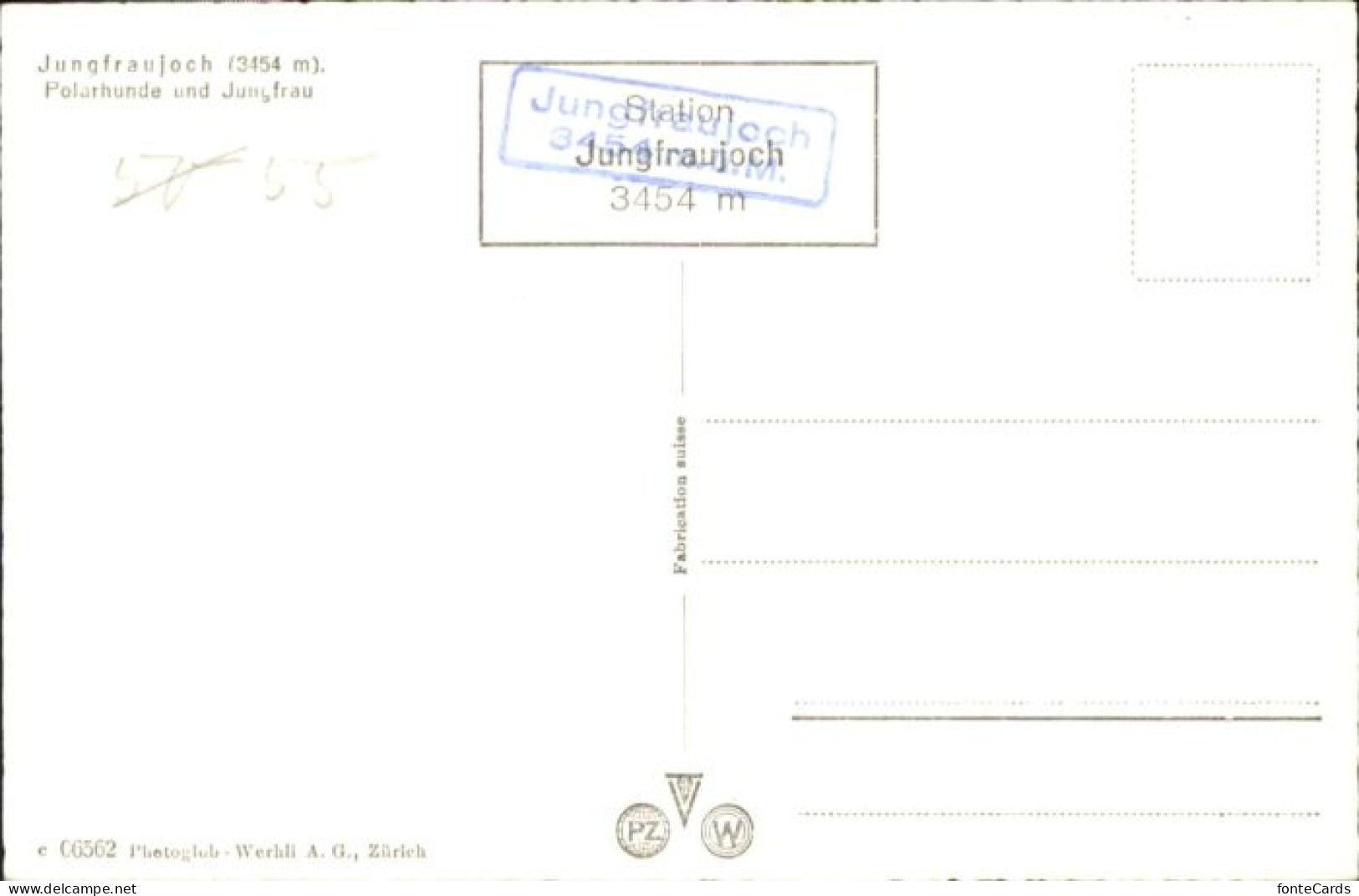 10794770 Jungfrau BE Jungfrau Polarhunde  * Jungfrau BE - Other & Unclassified