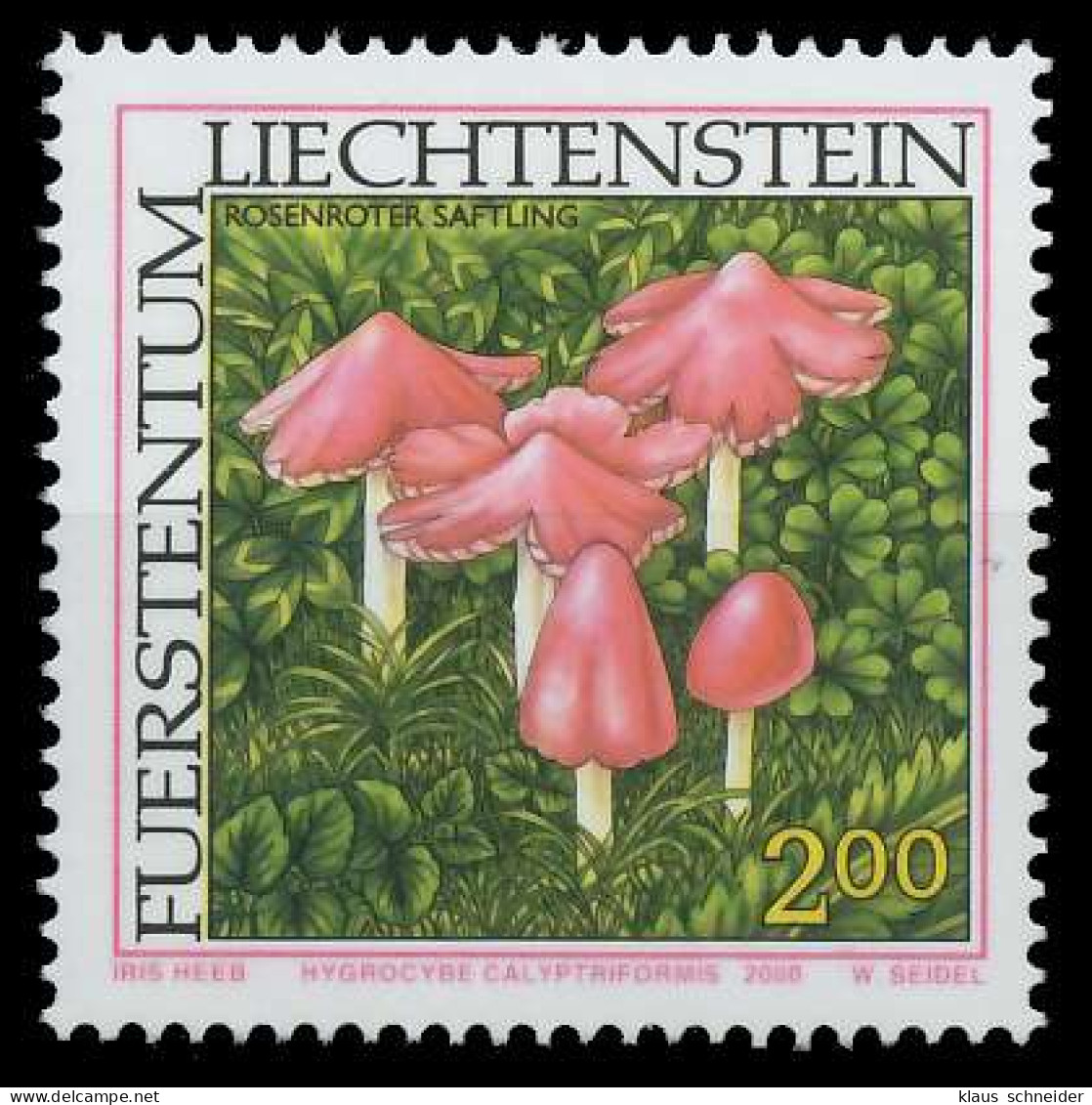 LIECHTENSTEIN 2000 Nr 1254 Postfrisch X28E45A - Unused Stamps