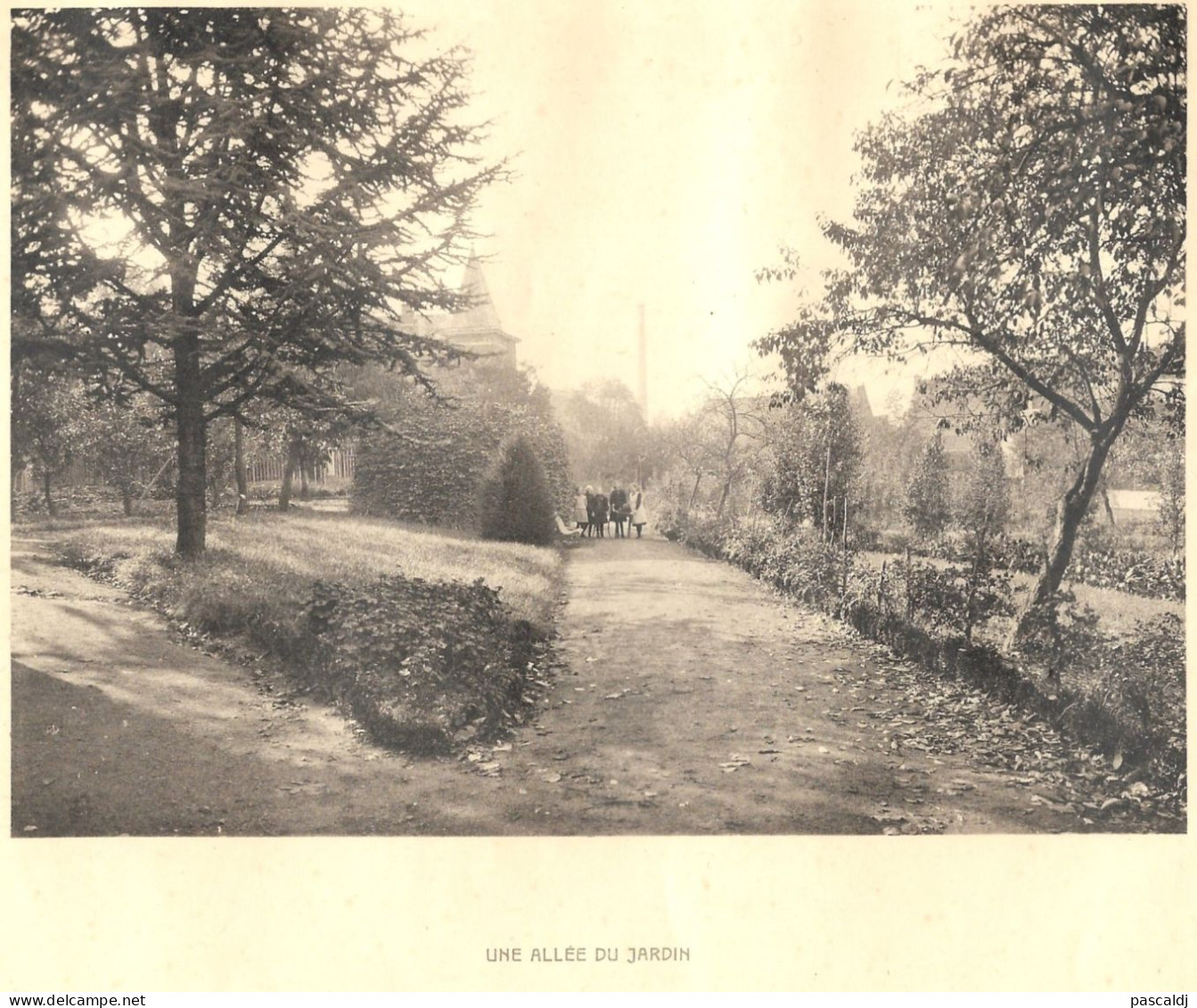 BRAINE-LE-COMTE - Ecole Des Soeurs Notre-Dame - Une Allée Du Jardin - Ancienne Photo Imprimée Sur Papier - Unclassified