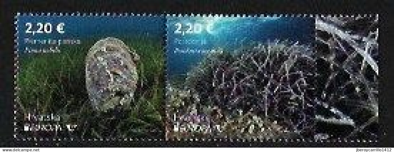 CROACIA /CROATIA /KROATIEN /HRVATSKA  - EUROPA-CEPT 2024 -"UNDERWATER FLORA And FAUNA".- SERIE De 2 V. JUNTOS - N - 2024