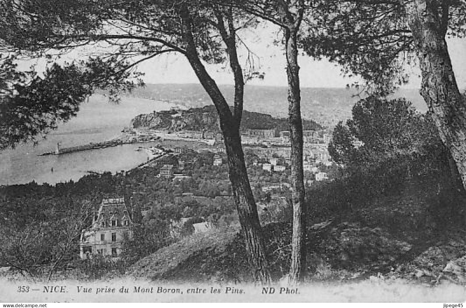 CPA - NICE - Vue Prise Du Mont Boron Entre Les Pins - Viste Panoramiche, Panorama