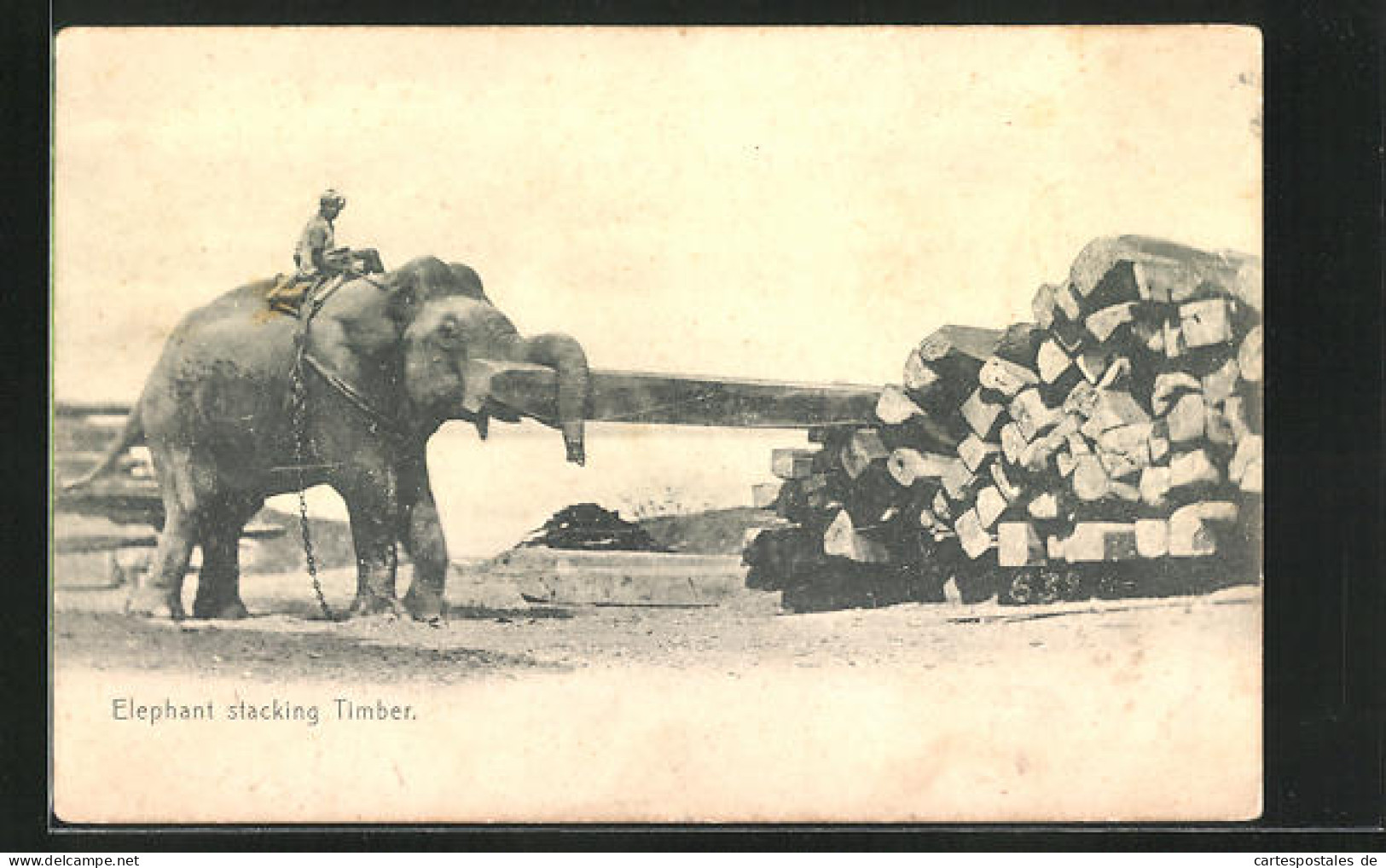 AK Elephant Stacking Timber, Elefant Stapelt Holz  - Elefantes