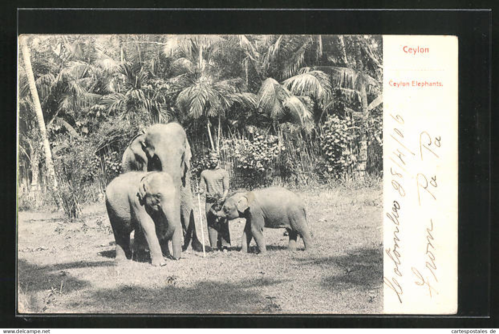 AK Ceylon, Ceylon Elephants, Singhalese Mit Drei Elefanten  - Elephants