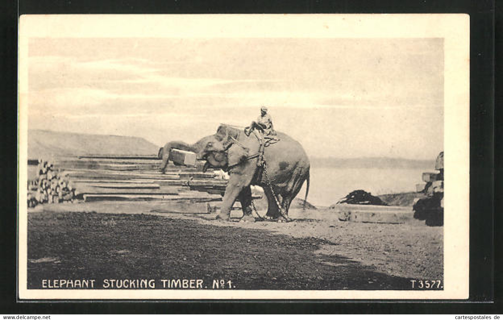 AK Elephant Stucking Timber, Elefant Stapelt Holz  - Éléphants