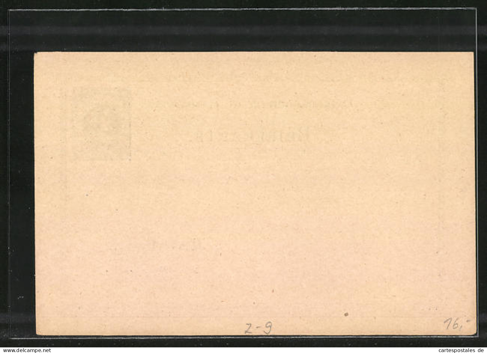 AK Briefkarte Private Stadtpost Hammonia Hamburg, 2 Pf.  - Timbres (représentations)