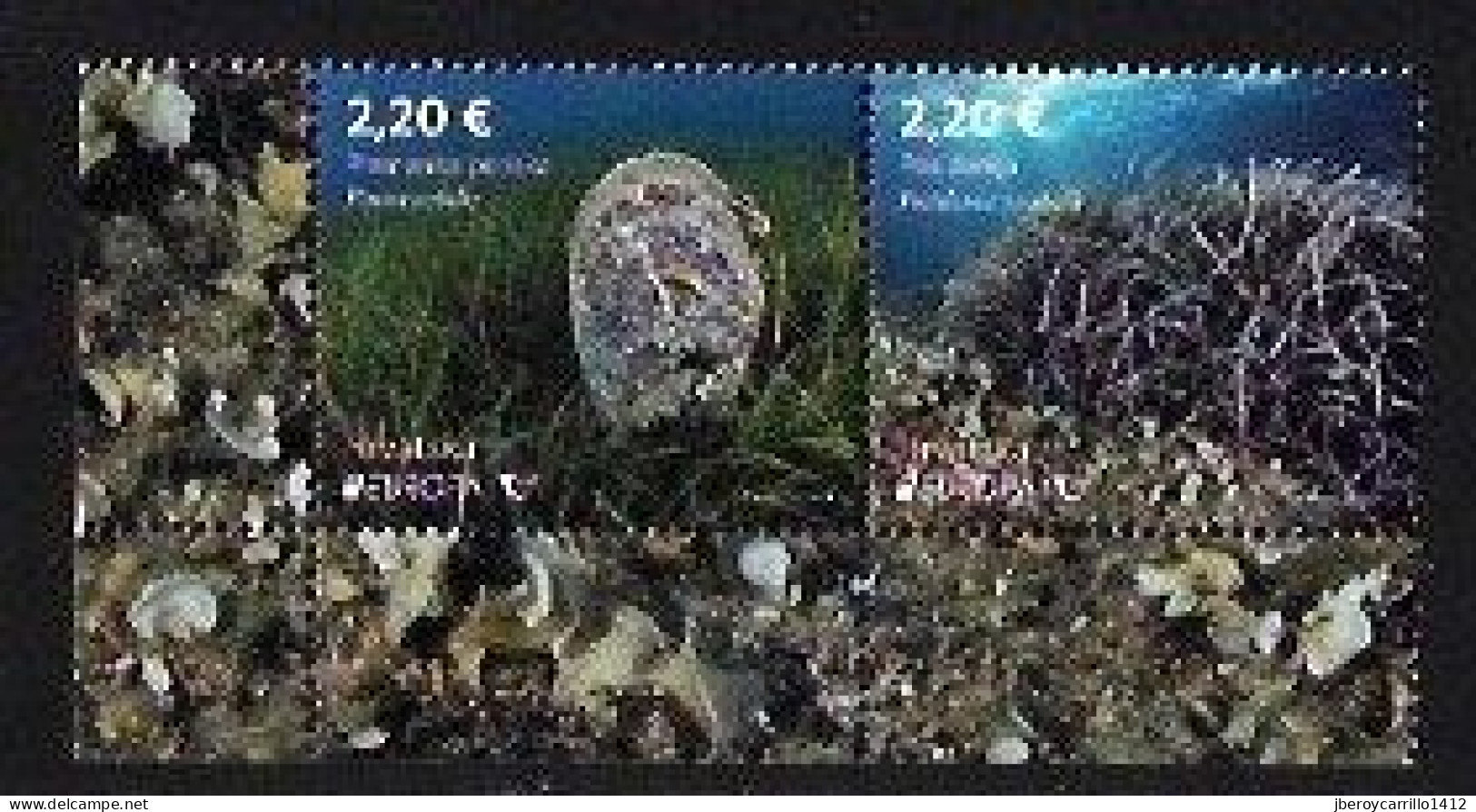 CROACIA /CROATIA /KROATIEN /HRVATSKA  - EUROPA-CEPT 2024 -"UNDERWATER FLORA And FAUNA".- SERIE De 2 V. JUNTOS-CH-INF-IZQ - 2024