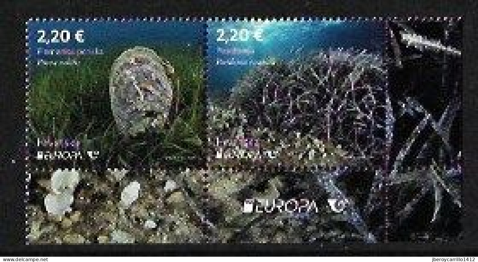 CROACIA /CROATIA /KROATIEN /HRVATSKA  - EUROPA-CEPT 2024 -"UNDERWATER FLORA And FAUNA".- SERIE De 2 V. JUNTOS-CH-EUROPA - 2024