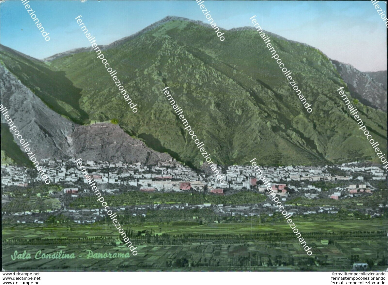 Br243 Cartolina Sala Consilina Panorama Provincia Di Salerno Campania - Salerno