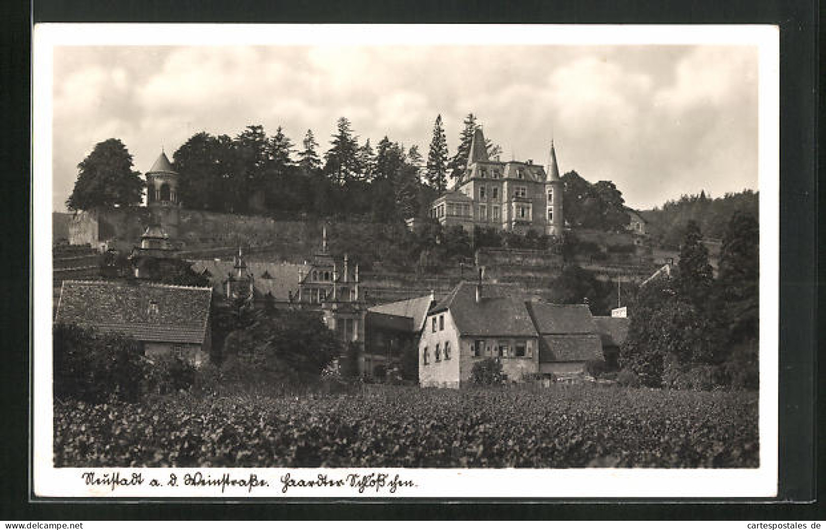 AK Neustadt A. D. Weinstrasse, Haardter Schlösschen  - Neustadt (Weinstr.)