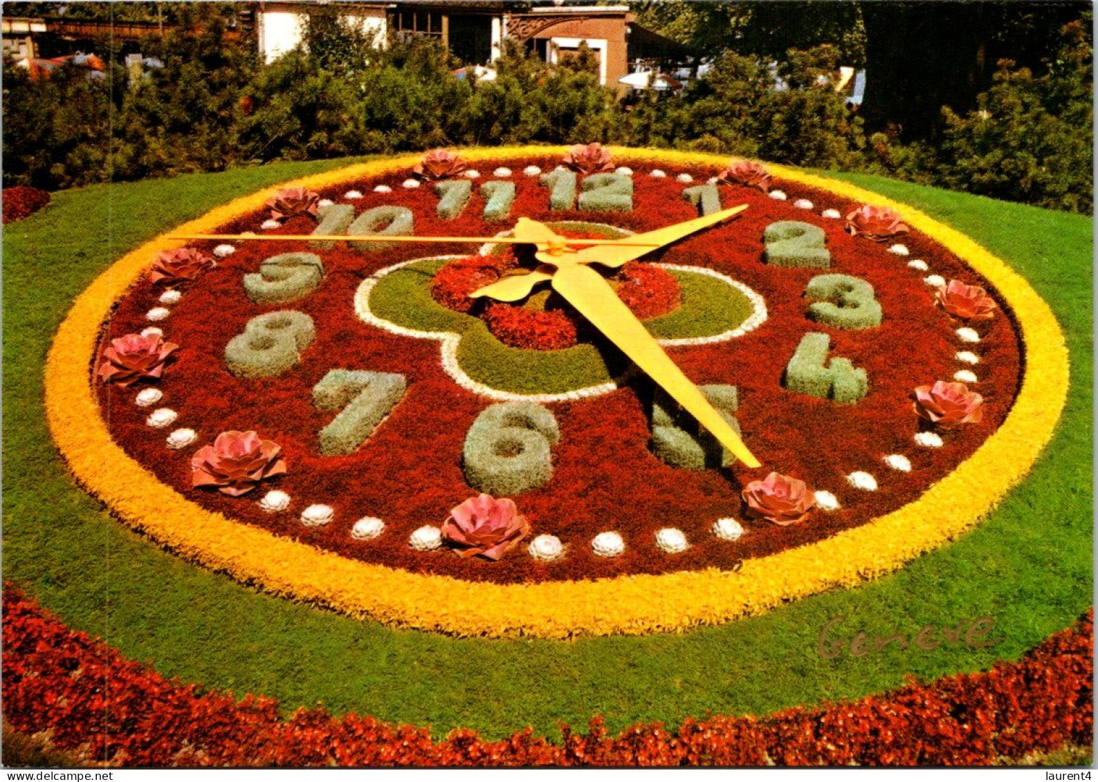 21-5-2024 (5 Z 43) Switzerland - Geneva Flower Clcok (Horloge Fleurie) - Flores
