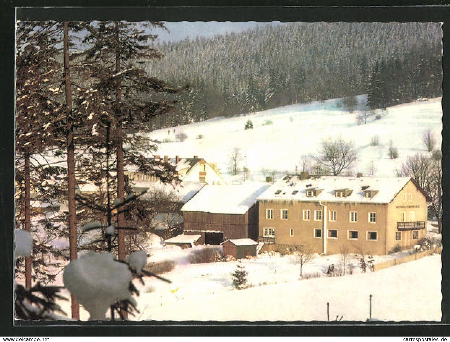 AK Altglashütte /Opf. Wald, Wald-Gasthof Und Pension Blei  - Andere & Zonder Classificatie